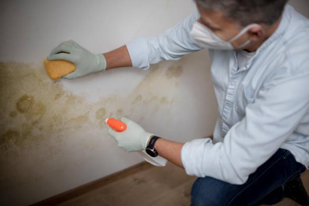 Water Damage Restoration in Fort Totten, ND